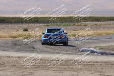 media/Oct-04-2025-OnGrid (Sat) [[44bd565ffa]]/Yellow Group/Grapevine/